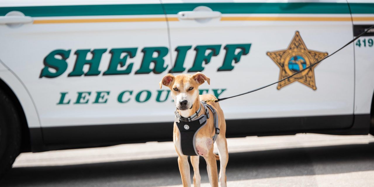 Chance the dog adopted as a deputy