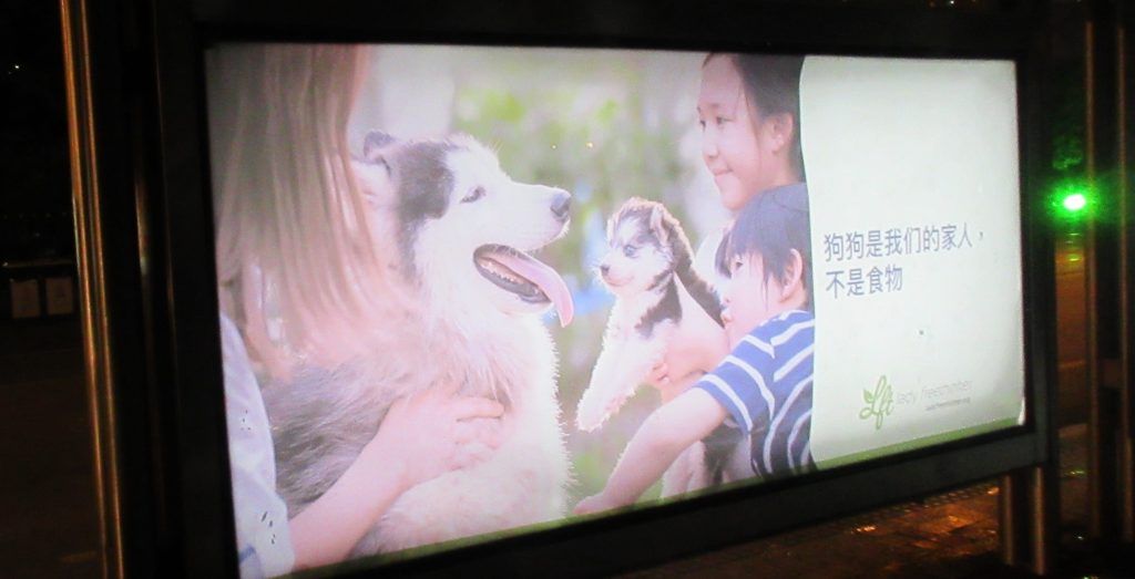 bus ad dog meat