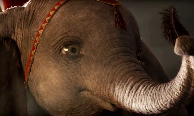Lessons from Dumbo: Why California Must Ban Animals in the Circus