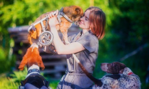 Woman Quits Career To Live In The Woods – With Over 100 Rescued Dogs!