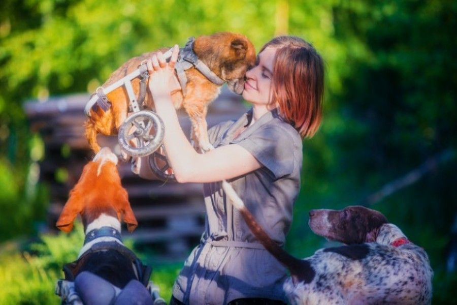 Woman Quits Career To Live In The Woods – With Over 100 Rescued Dogs!