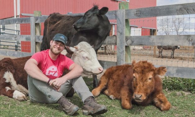 Animal Planet to Air Barn Sanctuary Series, Showing Love and Compassion for Farmed Animals