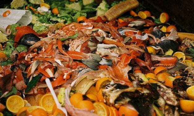 South Korea Leads the Way in Ending Food Waste by Recycling 95% of Leftovers