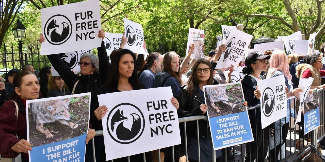 New York Could Become the Next City to Ban Fur