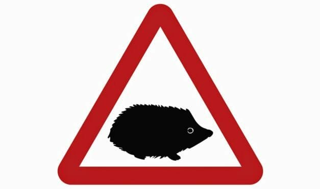 UK Introduces Hedgehog Road Sign to Protect ‘Precious’ Wildlife