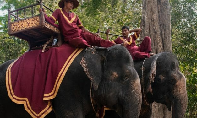 Victory for Elephants! Cambodia’s Largest Tourist Attraction Is Banning Cruel Elephant Rides