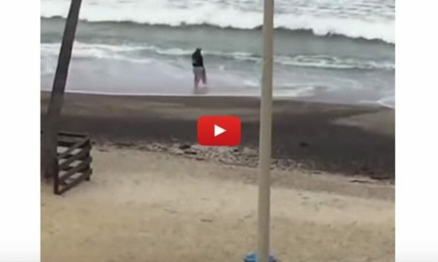 VIDEO: Kind Homeless Man Saves Stranded Baby Shark