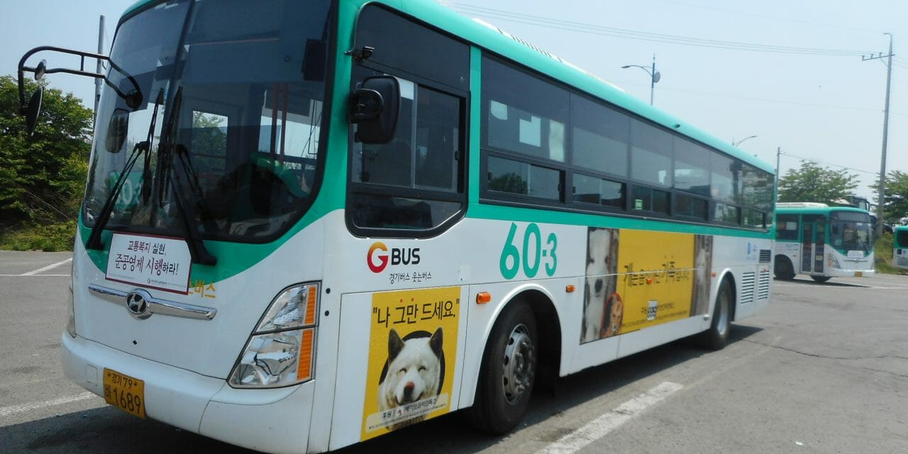 lady freethinker dog mewat korea bus ad