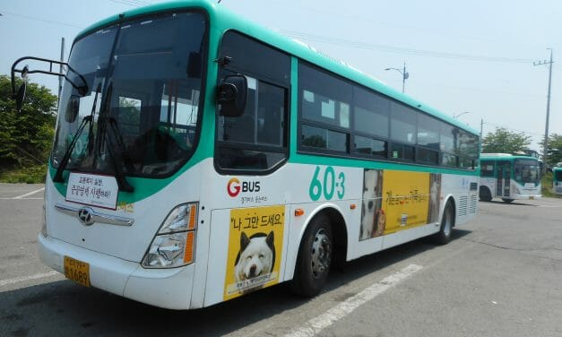 LFT Extends Bus Ad Sponsorship to End Dog Meat in S. Korea
