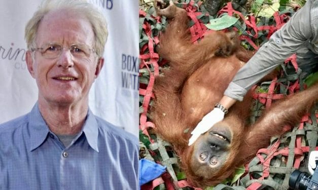 Groundbreaking Bill to Protect Orangutans Gains Momentum in California State Senate