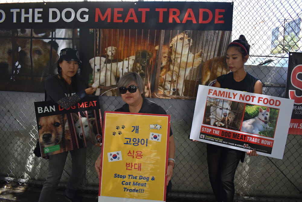 Animal rights protesters hold up signs at the Korean consulate in Los Angeles regarding the Korean dog meat trade.