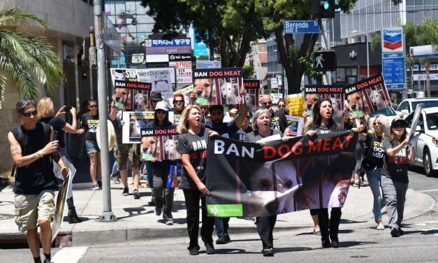 LFT Protests the Brutal Dog Meat Trade at the Korean Consulate in Los Angeles