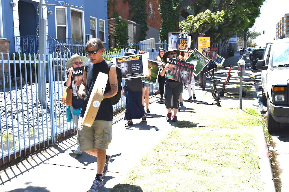 A line of activists hold up signs at an LA protest against the Korean dog meat trade. Get involved at Lady Freethinker.