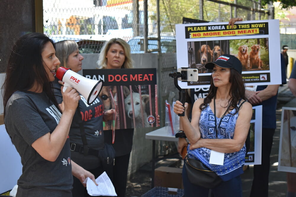 Nina Jackel lady freethinker dog meat protest