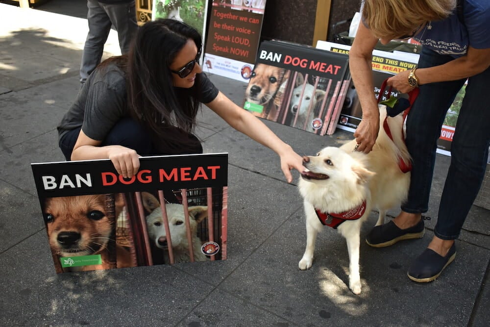 Lady Freethinker founder Nina Jackel and dog Yuki at a protest in LA against the Korean dog meat trade. Get involved at LFT!