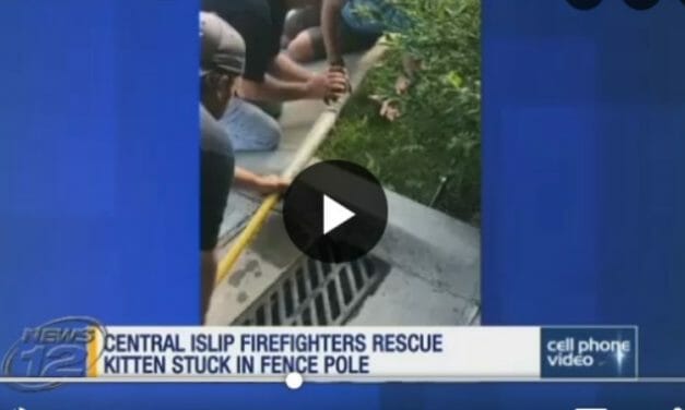VIDEO: Hero Firefighters Rescue Kitten Stuck in Fence Pole