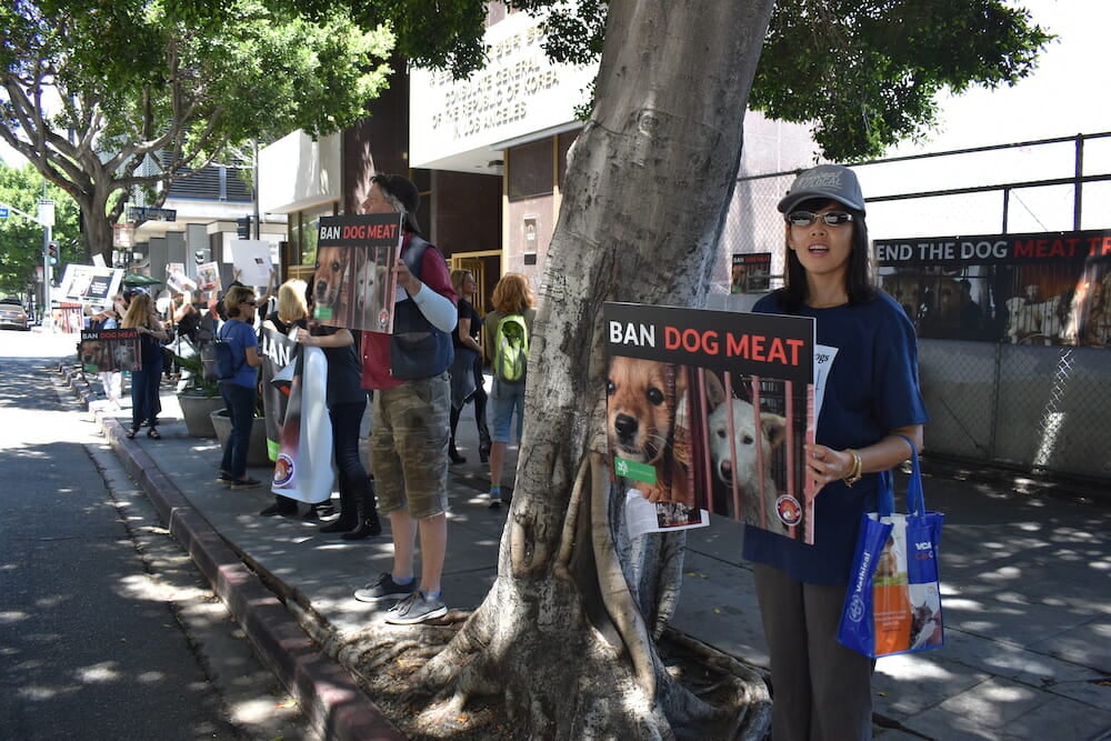 Animal rights activists in Los Angeles protesting the Korean dog meat trade. Learn how you can help at Lady Freethinker.