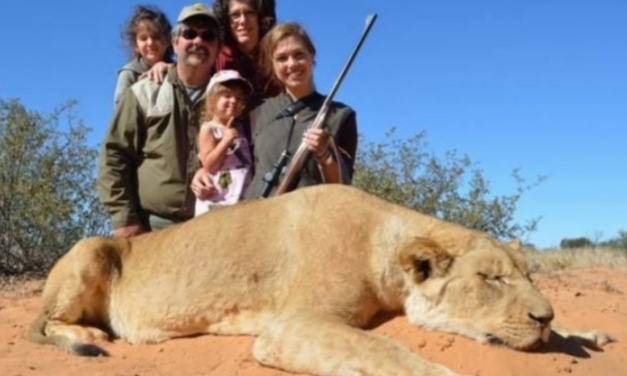 SIGN: Stop Appalling ‘Canned Hunts’ of Factory-Farmed Animals Killed for Trophies