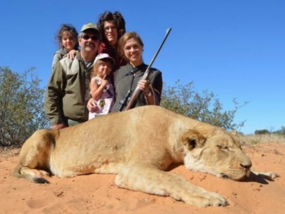 PETITION: Stop 'Canned Hunts' of Factory-Farmed Animals Killed for Trophies  in S Africa