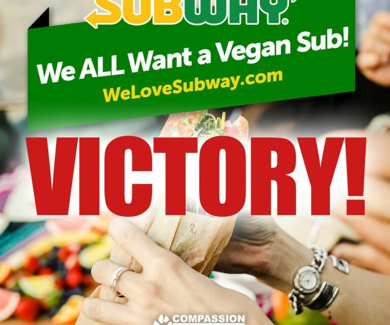 vegan subway meatball