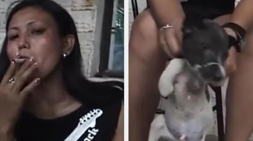 Puppy abused in WhatsApp video