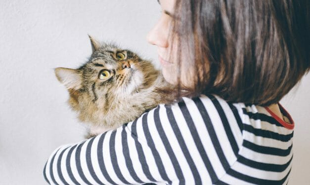 Kitties Are Just as Attached to Us As Dogs, Says New Report