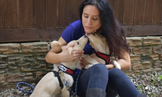 Lady Freethinker Helps Victims of Korea’s Brutal Dog Meat Trade
