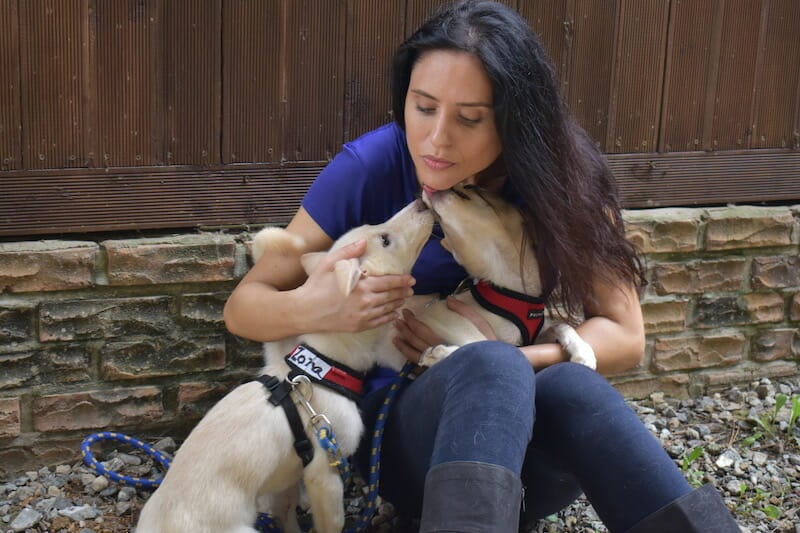 nina jackel with rescue dogs korea dog meat lady freethinker