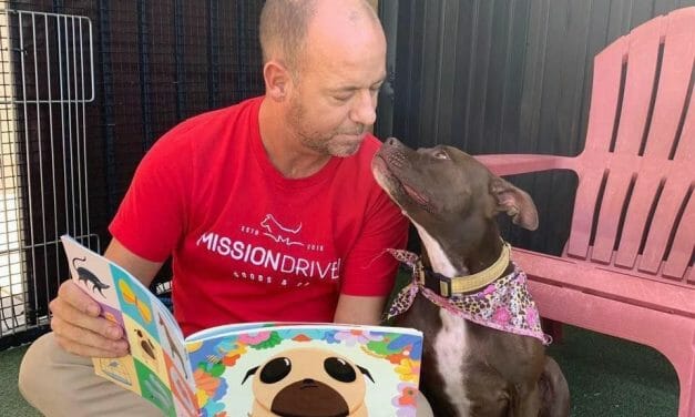 Man Moves into Rescue Shelter to Help Lonely Dog Find A Forever Home