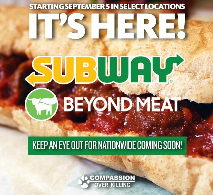 Subway vegan sub