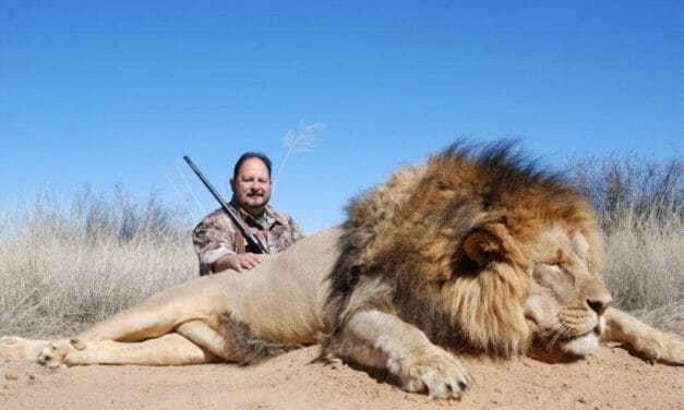 Sign: End All Gruesome Trophy Hunting In The UK