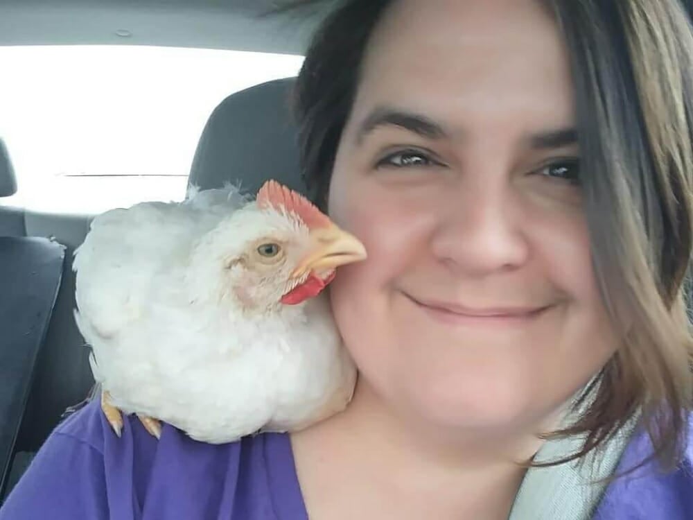 Pidge the chicken and her human, Amy. Amy saved Pidge from a crashed truck where he was en route to be slaughtered.