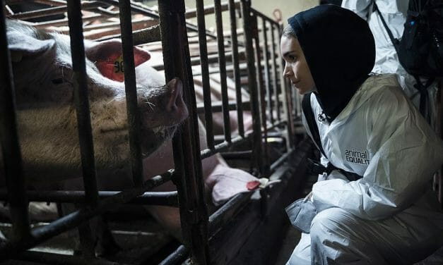 Actress Rooney Mara Goes Undercover to Investigate Cruel Meat Industry