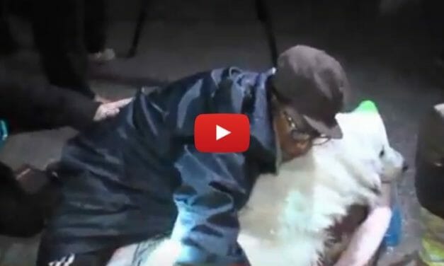 VIDEO: Firefighters Rescue Puppy Trapped 50 Feet Underground