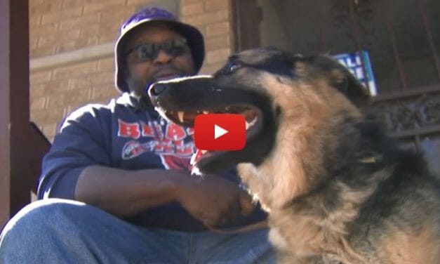 VIDEO: Stolen Guide Dog Returned to Blind Man After Thief Has Change of Heart