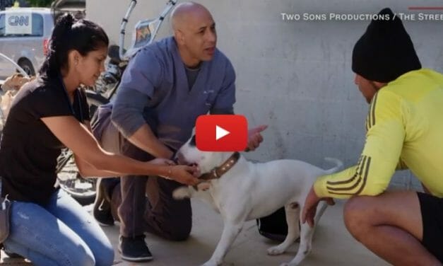 VIDEO: This Vet Is Treating Homeless Pets for Free