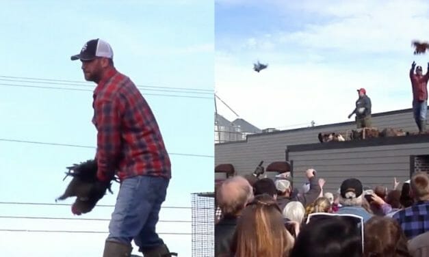 SIGN: Justice for Chickens Tossed Off Roof at Cruel Festival