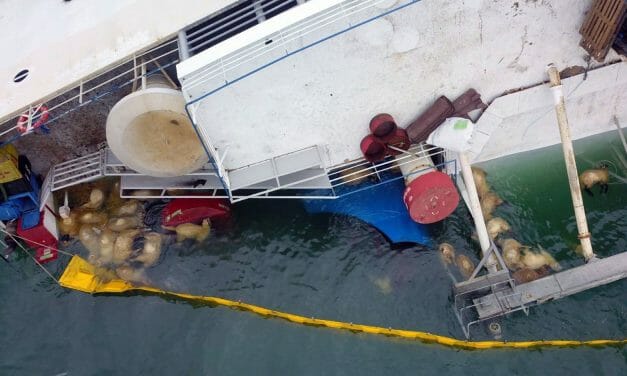 Secret Decks May Have Capsized Livestock Ship that Drowned Thousands of Sheep