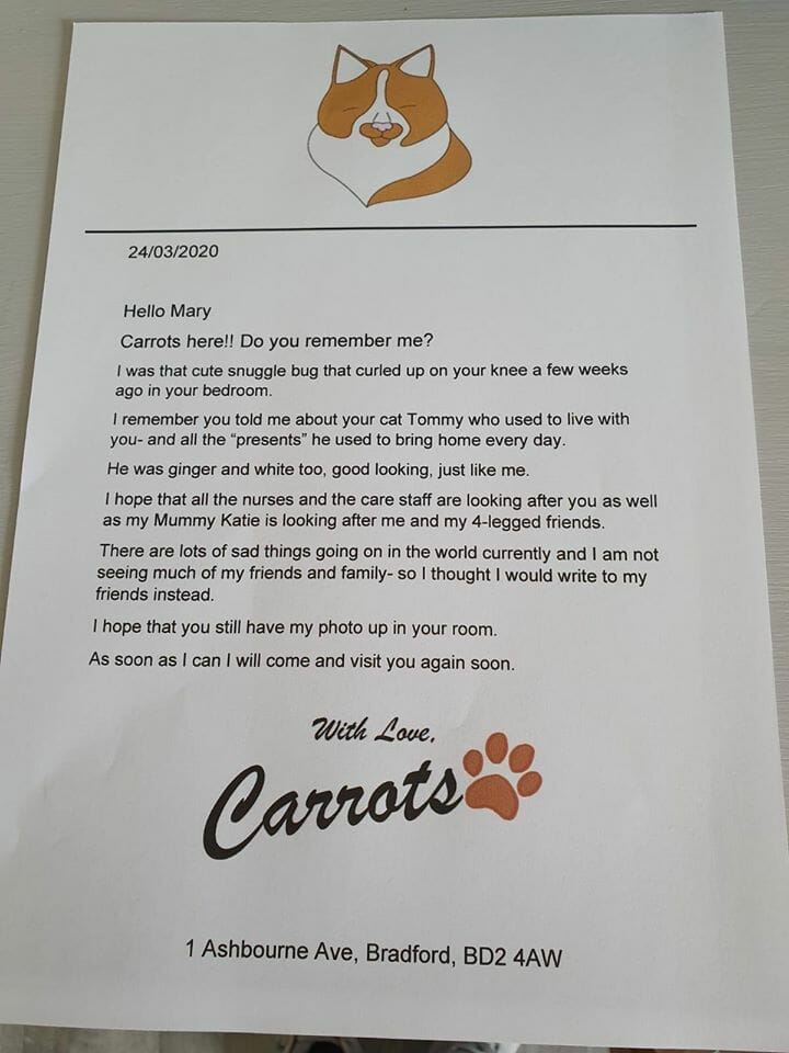 The blind therapy cat Carrots writes letters to patients he can no longer visit. Learn more at Lady Freethinker.