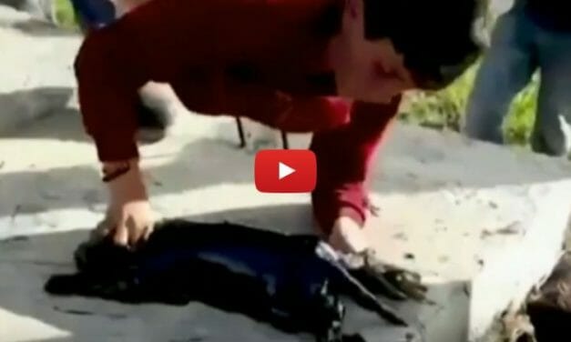 VIDEO: Boy Risks His Life to Save Puppy from Oil Well