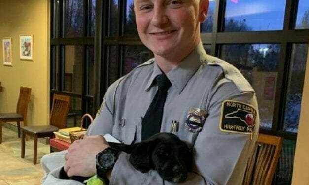 VIDEO: State Trooper Opens His Home to Unclaimed Puppy Injured in Car Crash