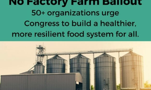 LFT Signs Onto Letter Urging ‘No Factory Farm Bailouts’