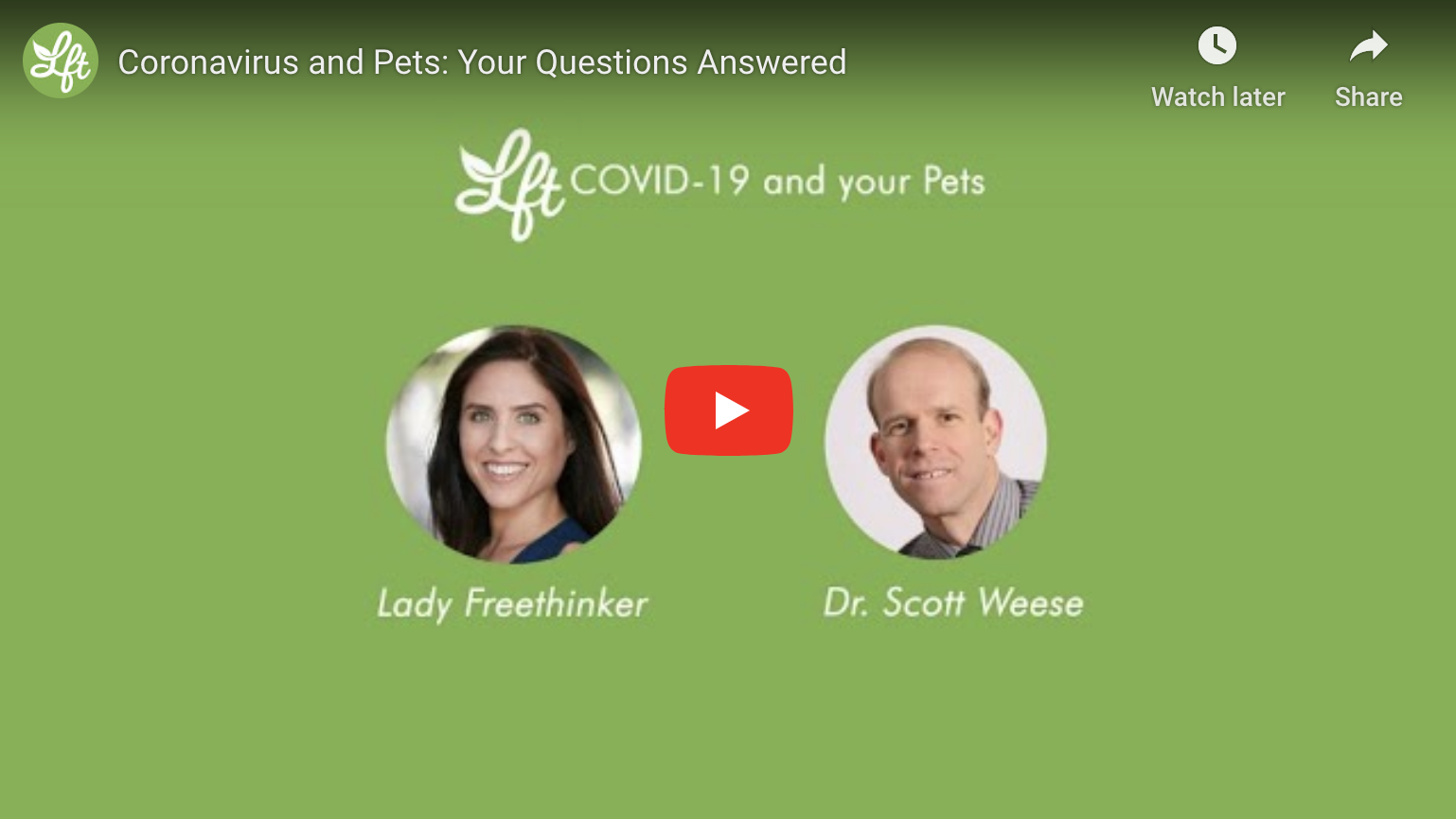 coronavirus and pets