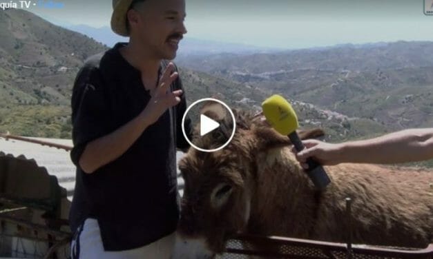 VIDEO: Teary Reunion of A Man And His Donkey After Quarantine Will Warm Your Spirit