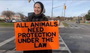 animal rights activist