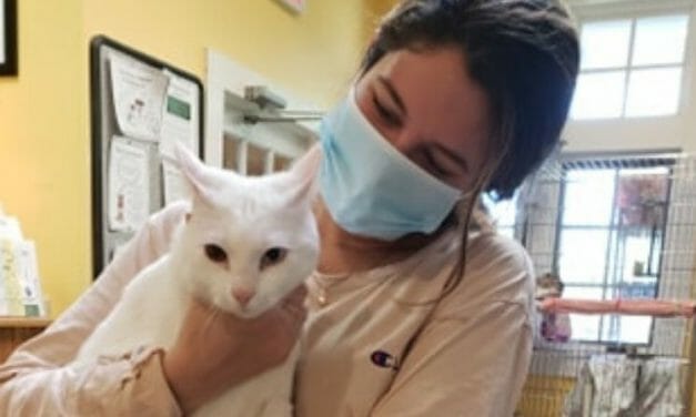 Former Shelter Intern Drives Nearly 400 Miles to Adopt Special-Needs Cat