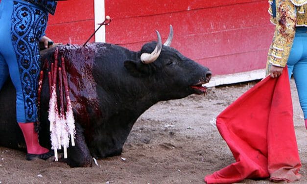 SIGN: Stop Stabbing Bulls to Death for ‘Sport’ Despite Coronavirus Danger