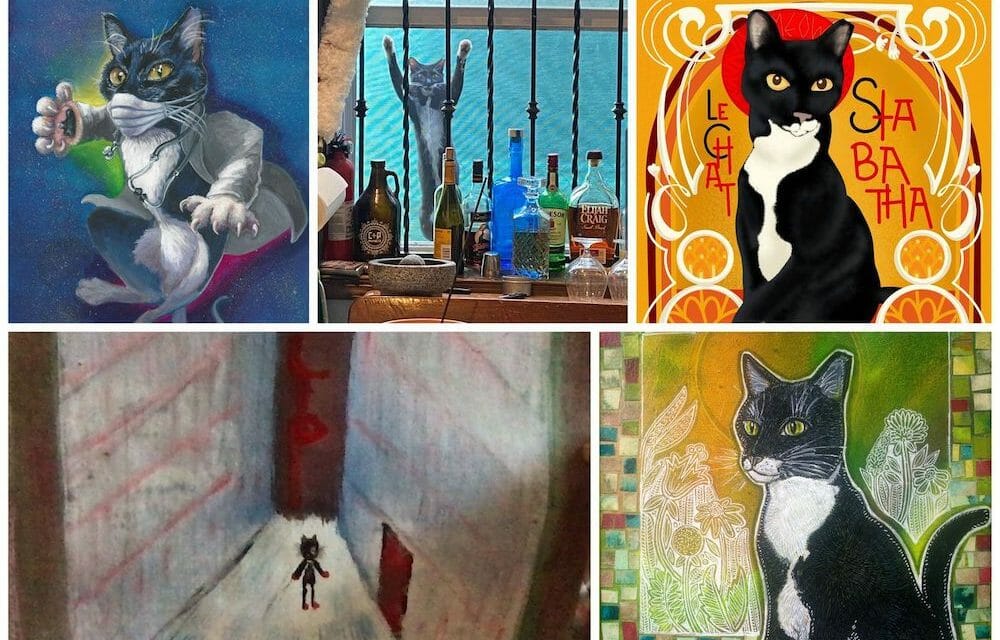 Cat’s Foster Dad Enlists Local Artists to Find Her a Loving Forever Home