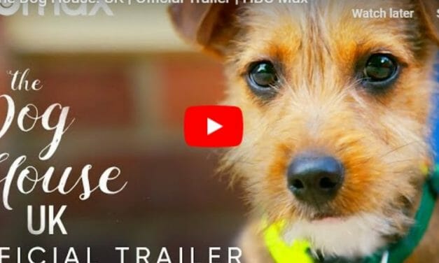 Inspiring New HBO Series Follows Abandoned Dogs from Their Sad Beginnings to Joyful Adoptions