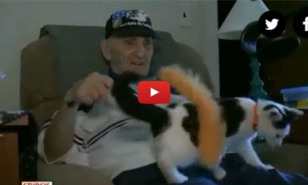 VIDEO: Hero Cat Saves Army Vet’s Life by Fetching Phone In Emergency